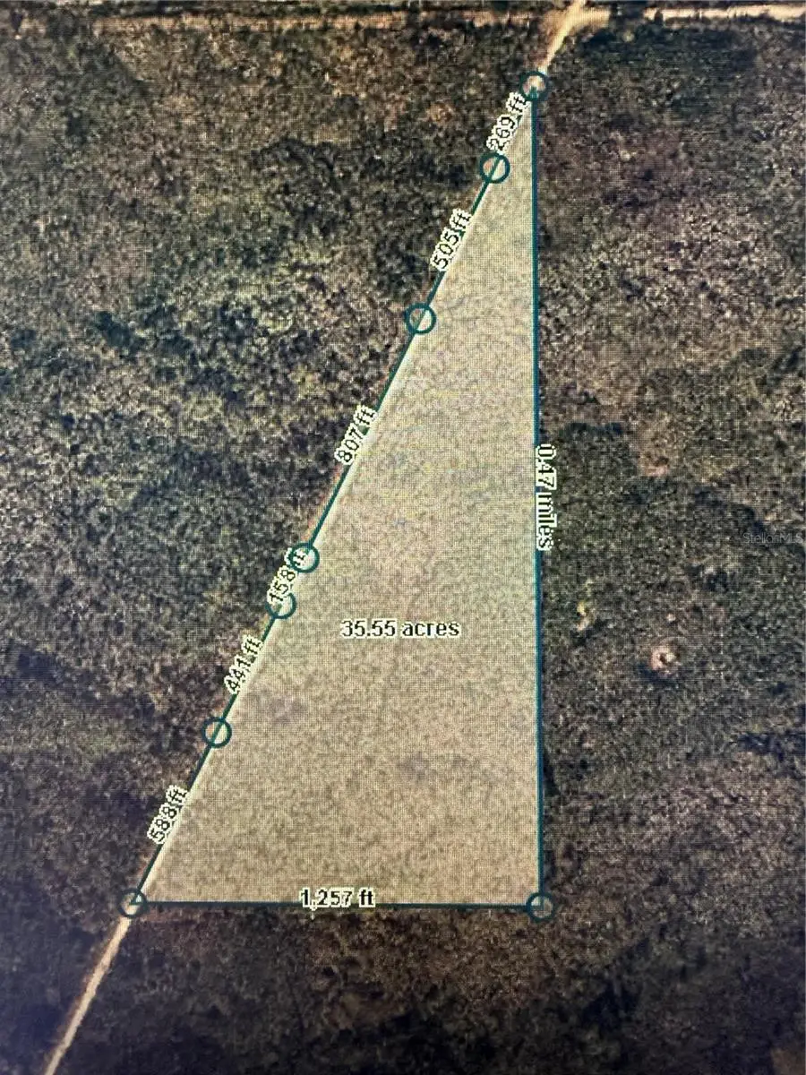 35 Acres Madison Main Line, Perry, FL 32347 - Image #3
