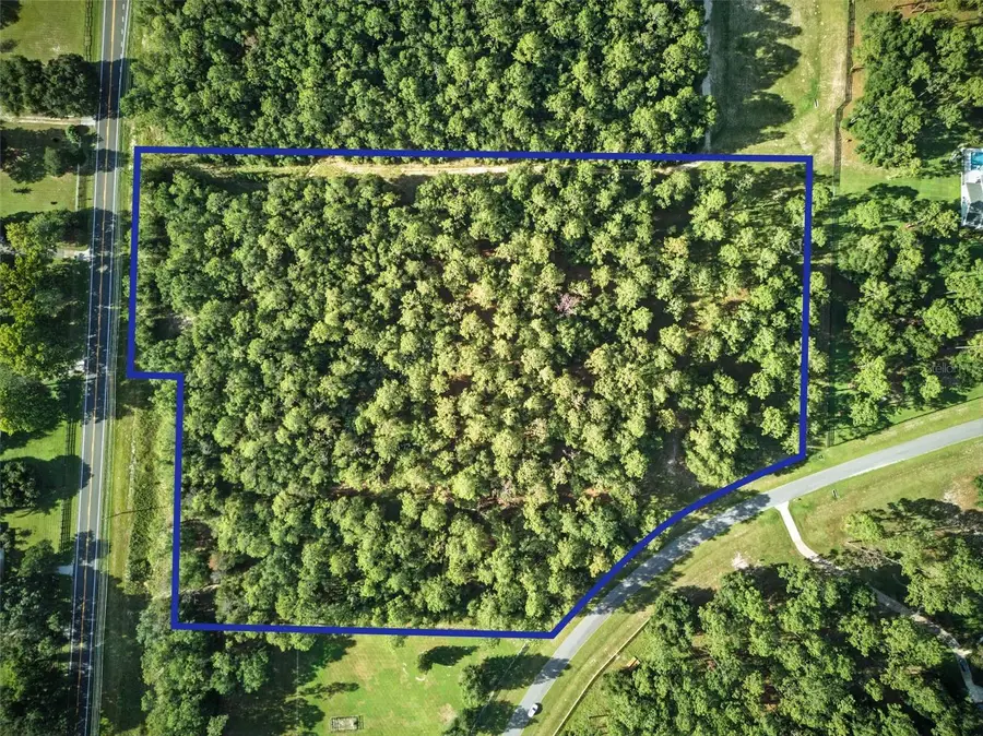 24148 Deep Springs Loop, Eustis, FL 32736 - Image #3