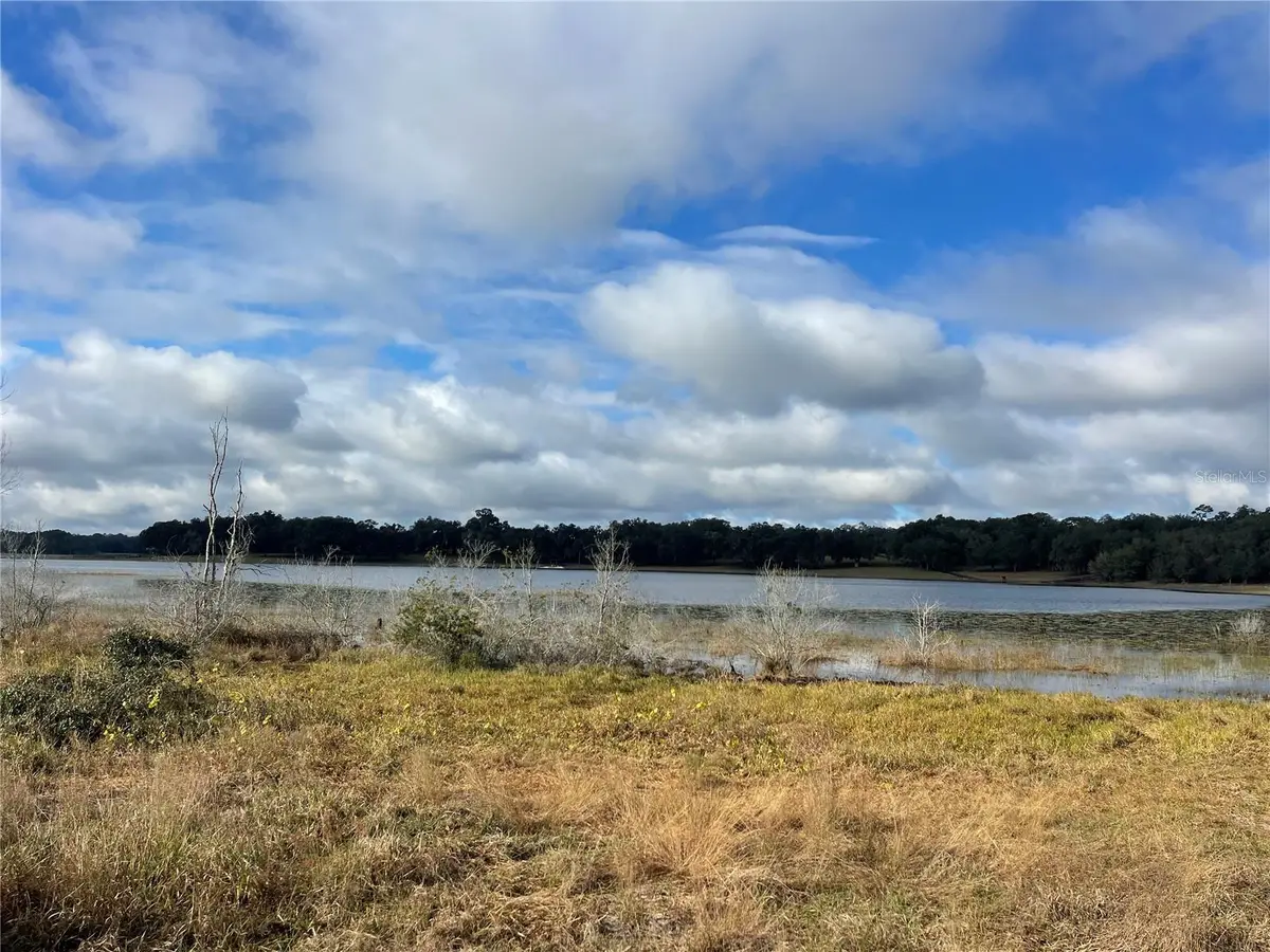 Grays Airport Road, Lady Lake, FL 32159 - Image #1