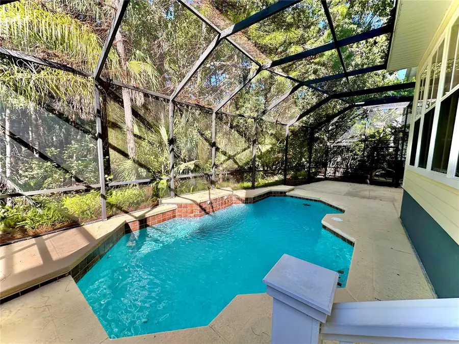 814 Runner Oak Street, Celebration, FL 34747 - Image #2