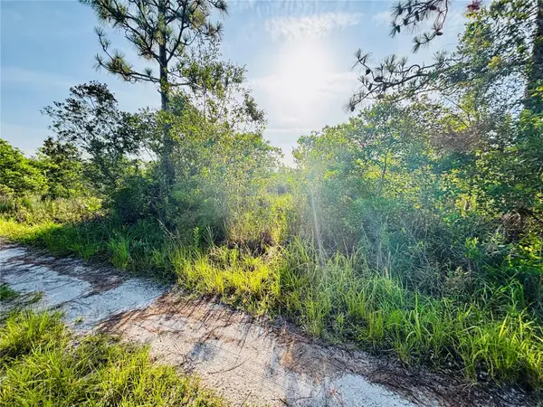 0 Shakedown Street, ST CLOUD, FL 34773