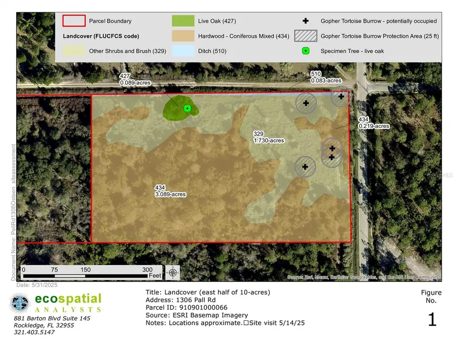 1306 Pell Road, Osteen, FL 32764 - Image #2