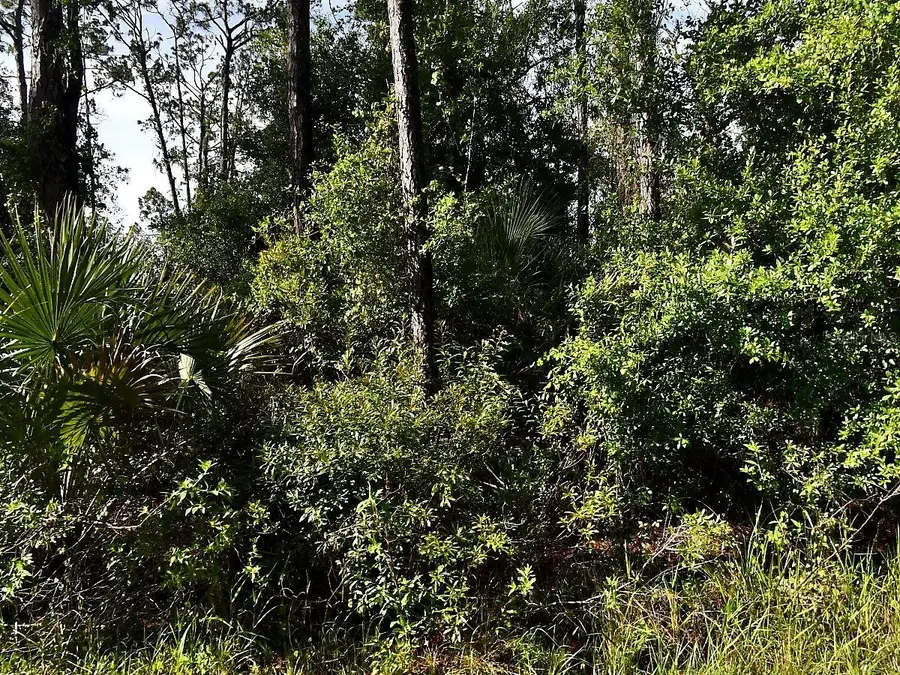 Boyd Avenue, North Port, FL 34286 - Image #2