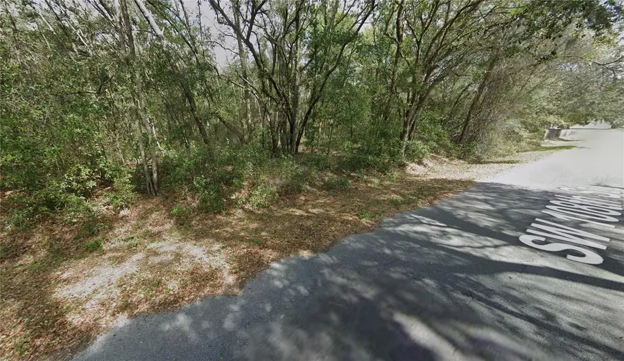 SW 108th Street, Dunnellon, FL 34432 - #2