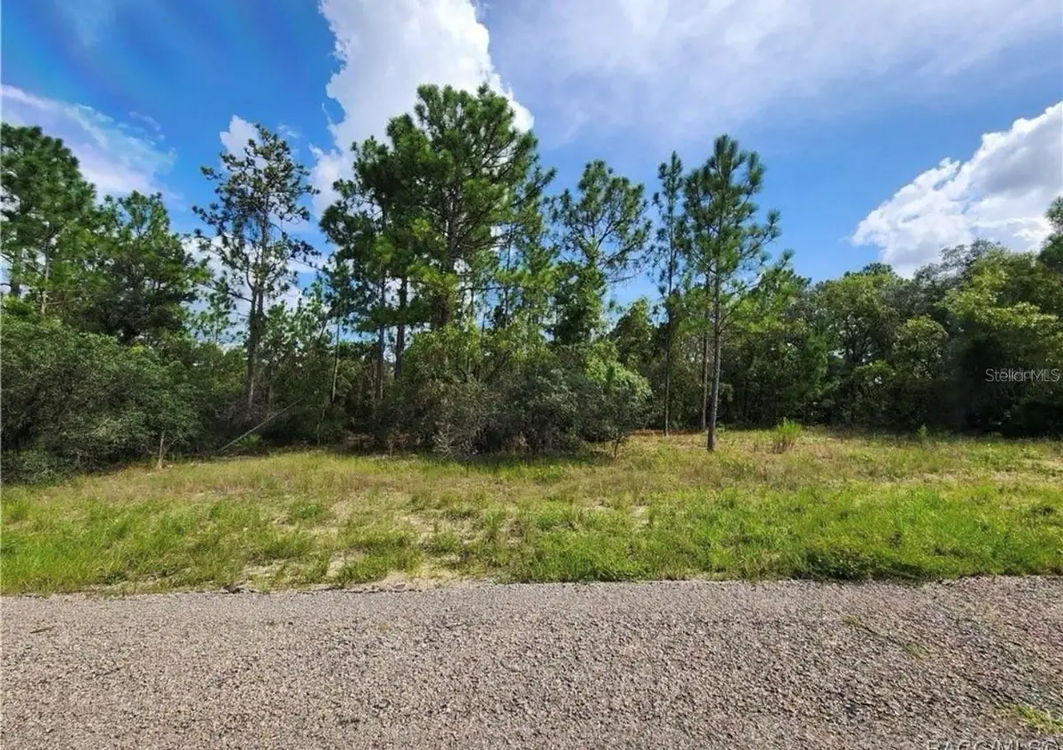 3504 W Seahorse Lane, Dunnellon, FL 34433 - Image #1