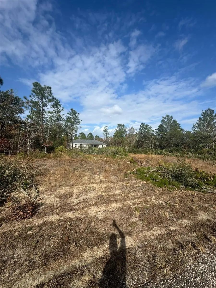 3504 W Seahorse Lane, Dunnellon, FL 34433 - Image #2