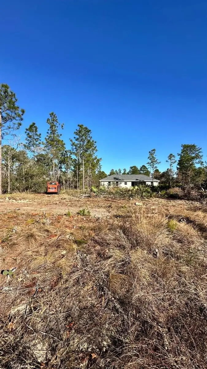 3504 W Seahorse Lane, Dunnellon, FL 34433 - Image #3