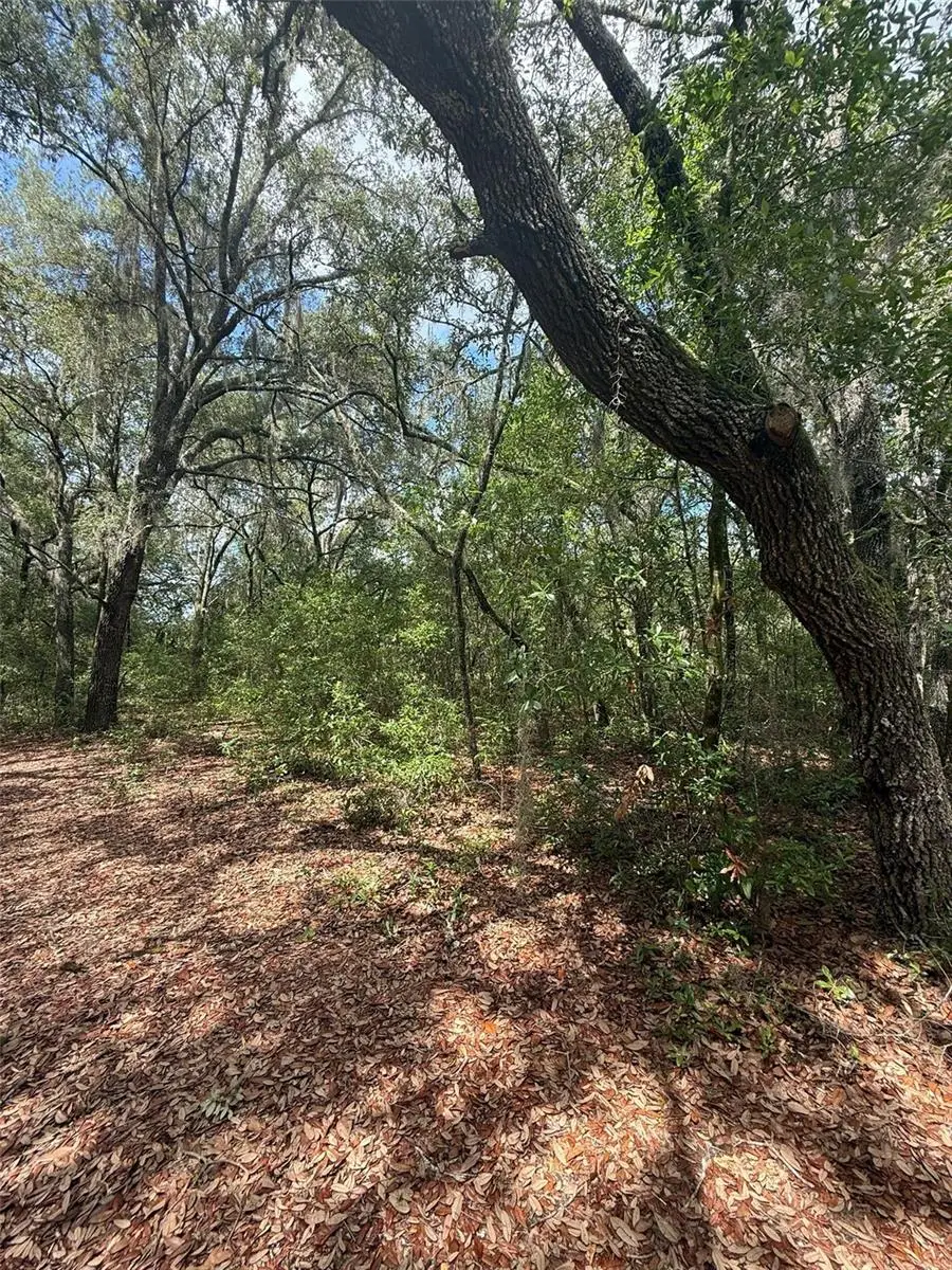 LOT 132 Duncan Avenue, Interlachen, FL 32148 - Image #1