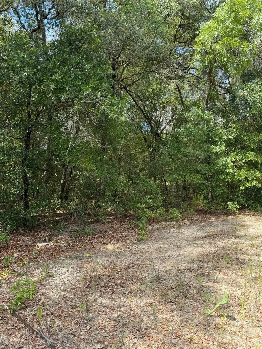 LOT 132 Duncan Avenue, Interlachen, FL 32148 - Image #2