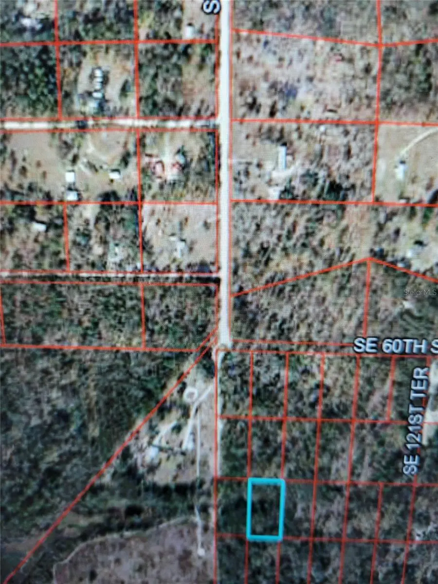 0 SE 120 Avenue, Morriston, FL 32668 - Image #3