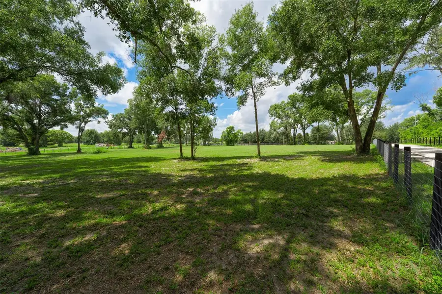 6301 Dora Drive, Mount Dora, FL 32757 - Image #3