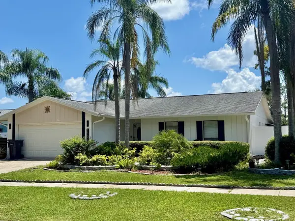 15909 Crying Wind Drive, TAMPA, FL 33624