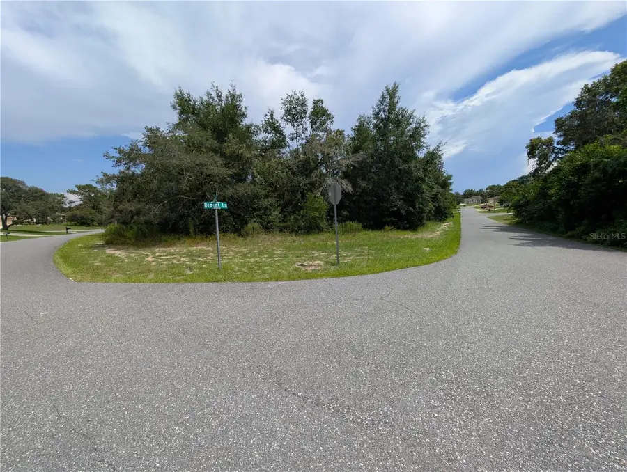 11298 Redgate Street, Spring Hill, FL 34609 - Image #3