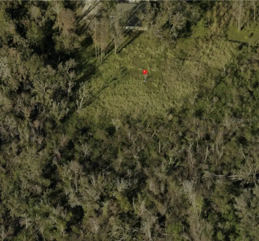 Blossom Avenue, Tampa, FL 33614 - Image #2