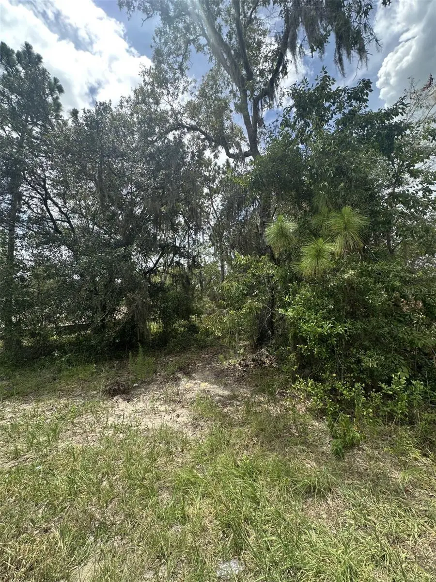 9700 N Cortlandt Drive, Citrus Springs, FL 34434 - Image #1