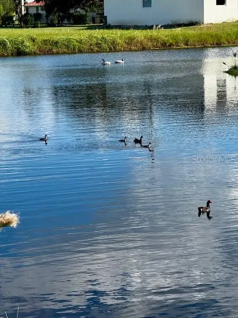 24383 Belize Court, Punta Gorda, FL 33955 - #1