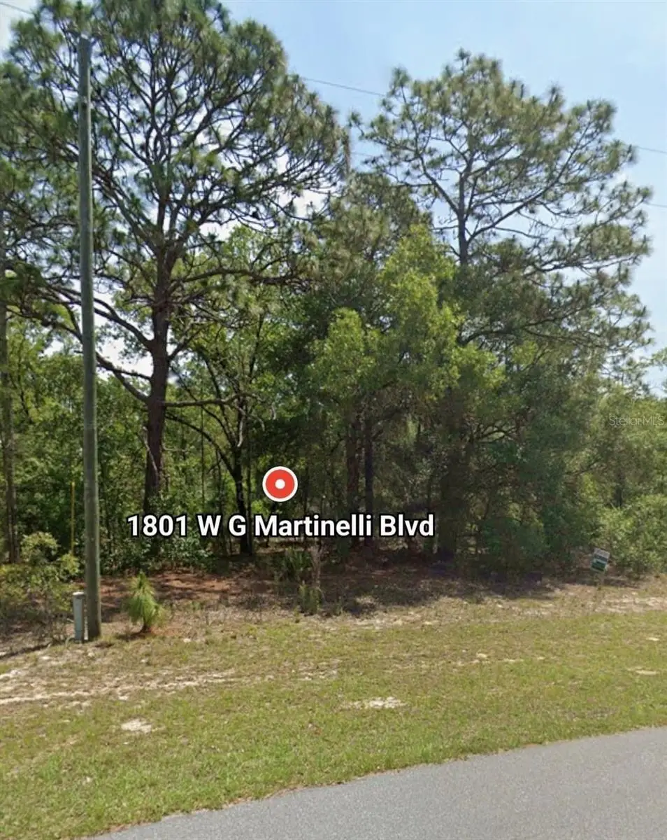 W G Martinelli Blvd #1801, Citrus Springs, FL 34434 - Image #1