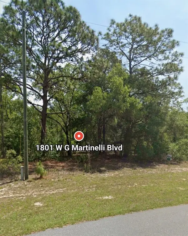 1801 W G Martinelli Blvd, CITRUS SPRINGS, FL 34434