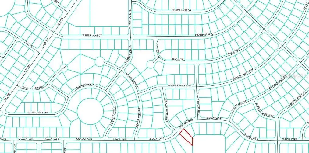 Guava Pass, Ocklawaha, FL 32179 - Image #1