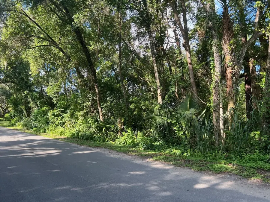 Par Avenue, Sorrento, FL 32776 - Image #2