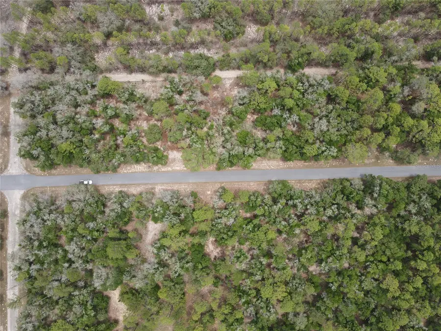 8387 N Yellowbird Avenue, Hernando, FL 34434 - Image #3