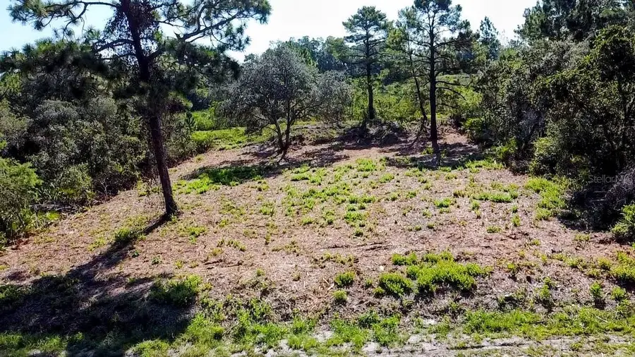 0 Malauka Pass, Ocklawaha, FL 32179 - Image #3