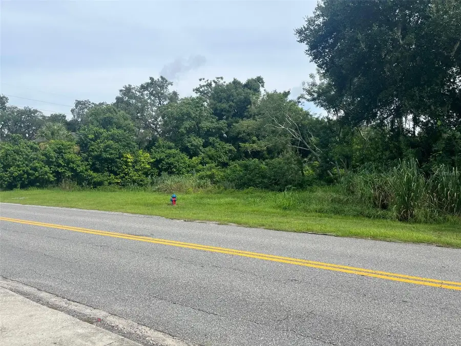 E Cleveland Street E, Apopka, FL 32703 - Image #3