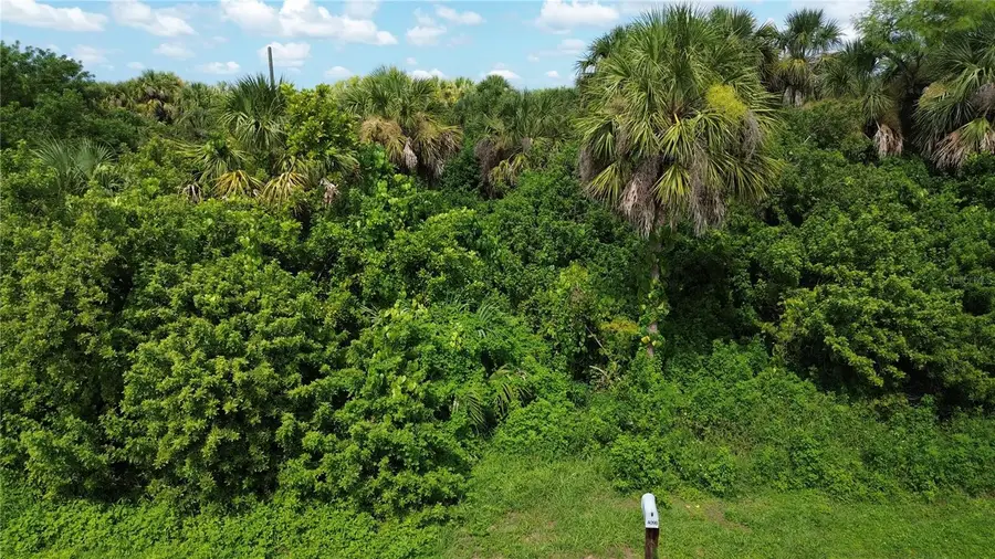 4099 Dotham Street, Port Charlotte, FL 33948 - Image #2