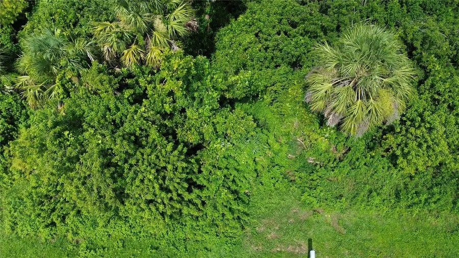 4099 Dotham Street, Port Charlotte, FL 33948 - Image #3