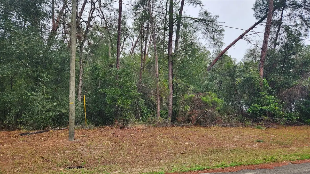 Locust Course Radial, Ocala, FL 34472 - Image #1