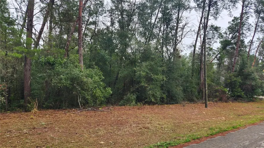 Locust Course Radial, Ocala, FL 34472 - Image #2