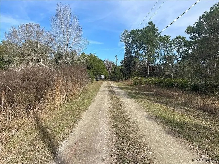 11381 S Rosewater Point, Homosassa, FL 34446 - #3