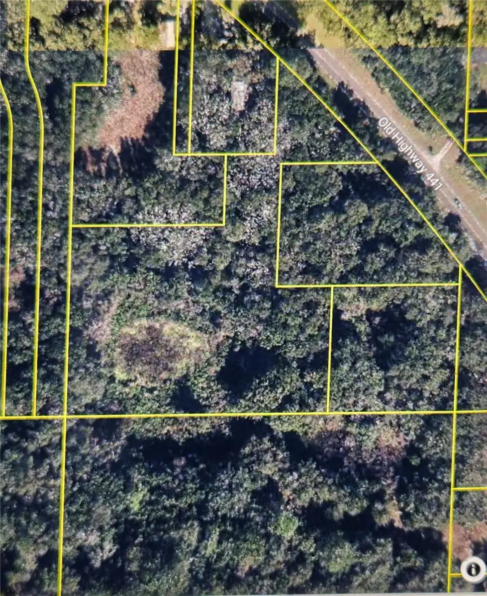 6552 N Orange Blossom Trail, Mount Dora, FL 32757 - Image #1