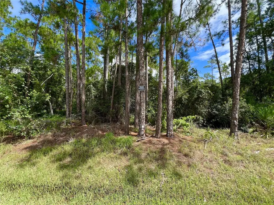 14421 Winterset Drive, Orlando, FL 32832 - Image #2