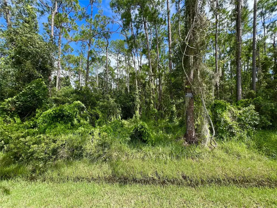 14421 Winterset Drive, Orlando, FL 32832 - Image #3