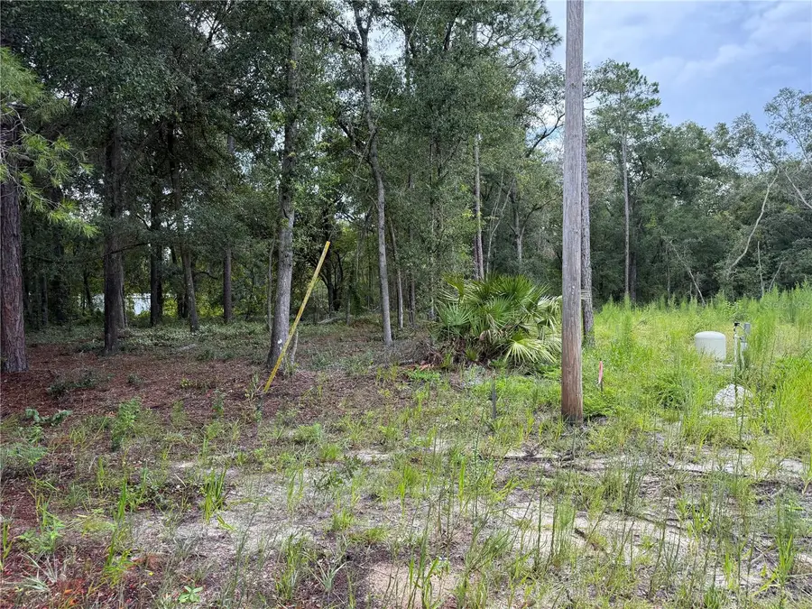 106 Jackson Avenue, Interlachen, FL 32148 - Image #2