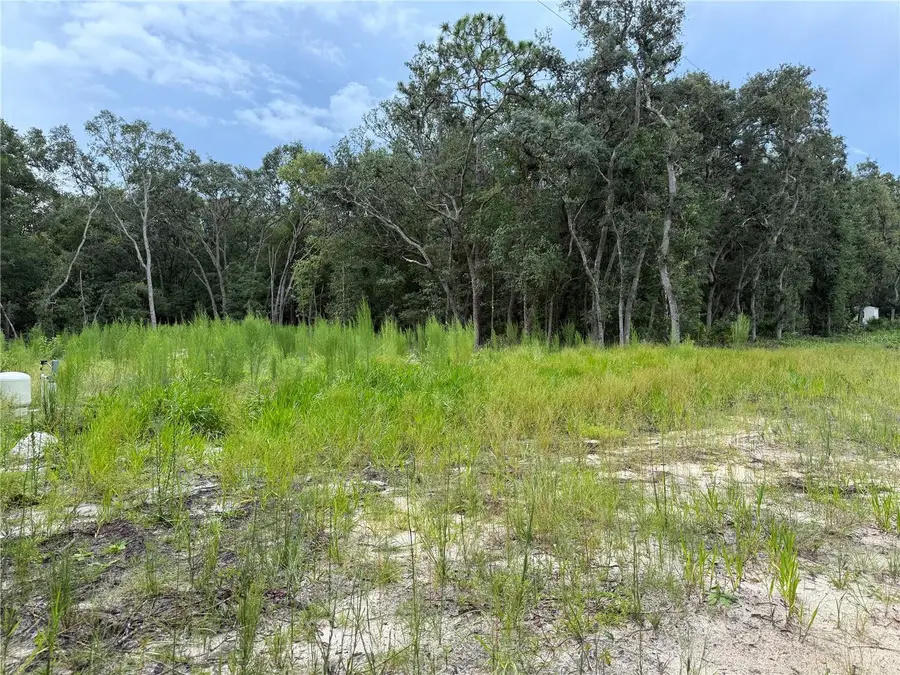 106 Jackson Avenue, Interlachen, FL 32148 - Image #3