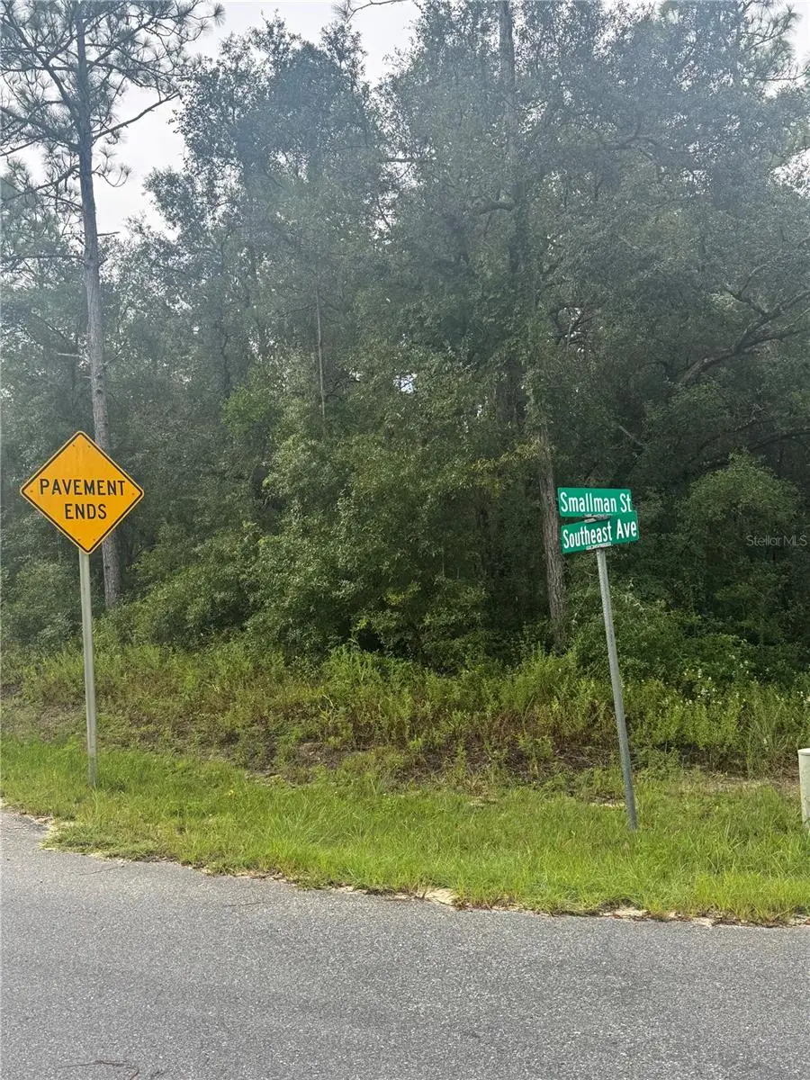 Southeast Avenue, Webster, FL 33597 - Image #1