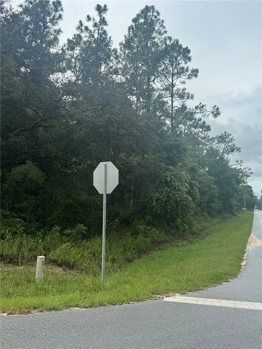 Southeast Avenue, Webster, FL 33597 - Image #2