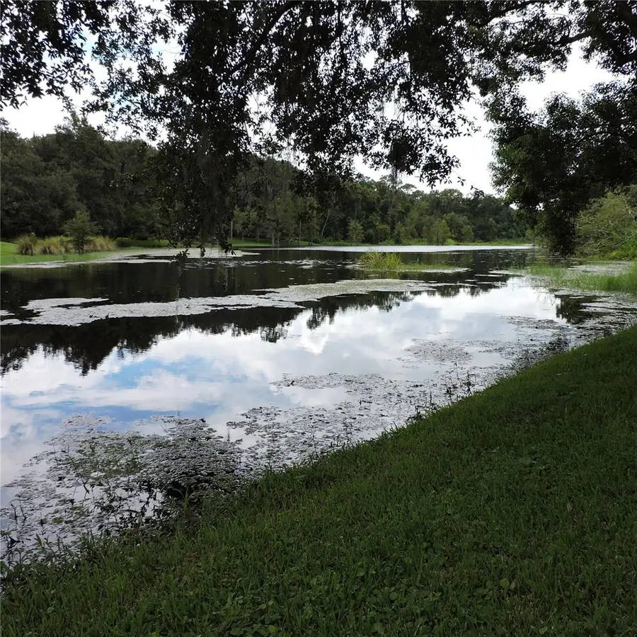 2312 Hillside Drive, Mount Dora, FL 32757 - Image #2