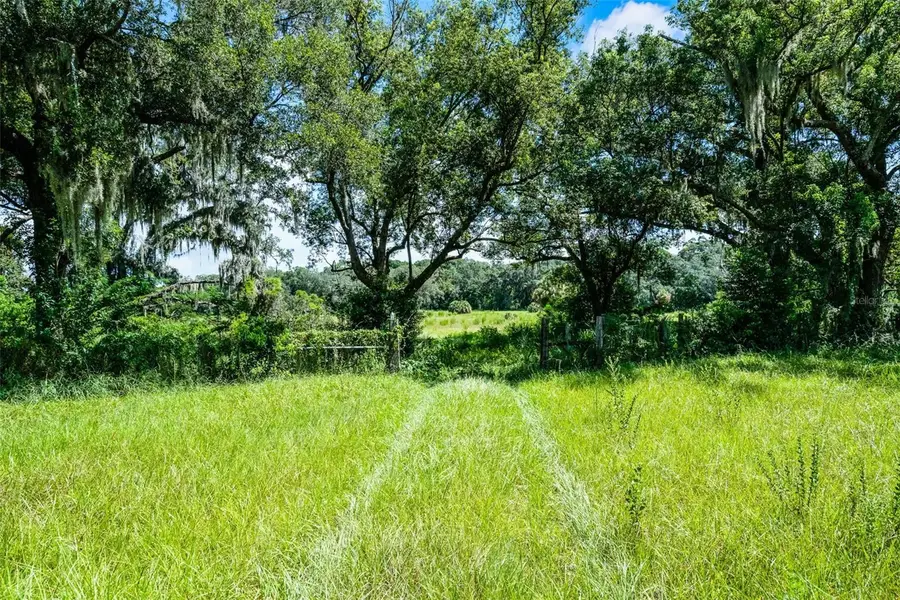 7466 Vivian Lane, Orlando, FL 32818 - Image #2