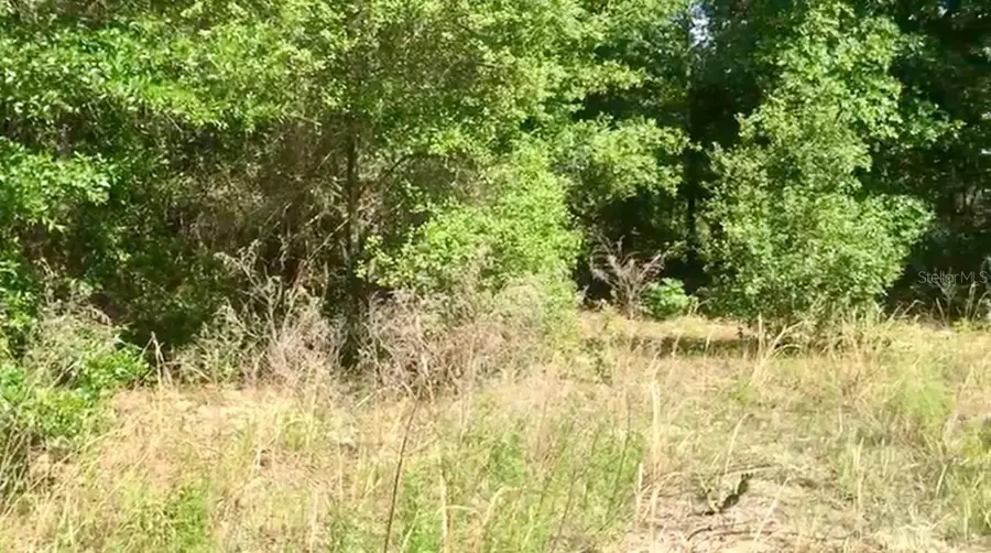 20 & 21 SW Azalea, Dunnellon, FL 34431 - Image #3