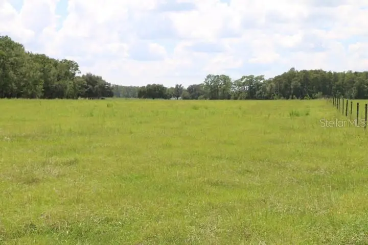 Green Swamp Road, Clermont, FL 34714 - Image #2