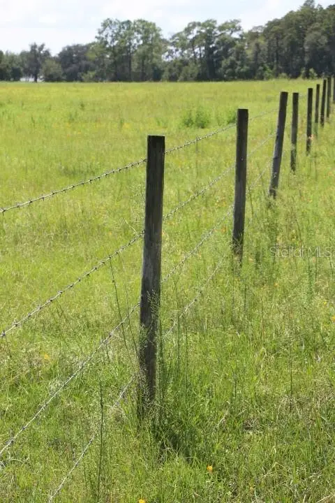 Green Swamp Road, Clermont, FL 34714 - Image #3