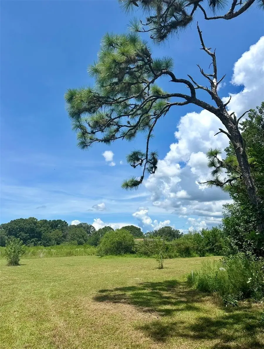 150 Grant Bass Road, Kenansville, FL 34739 - Image #2