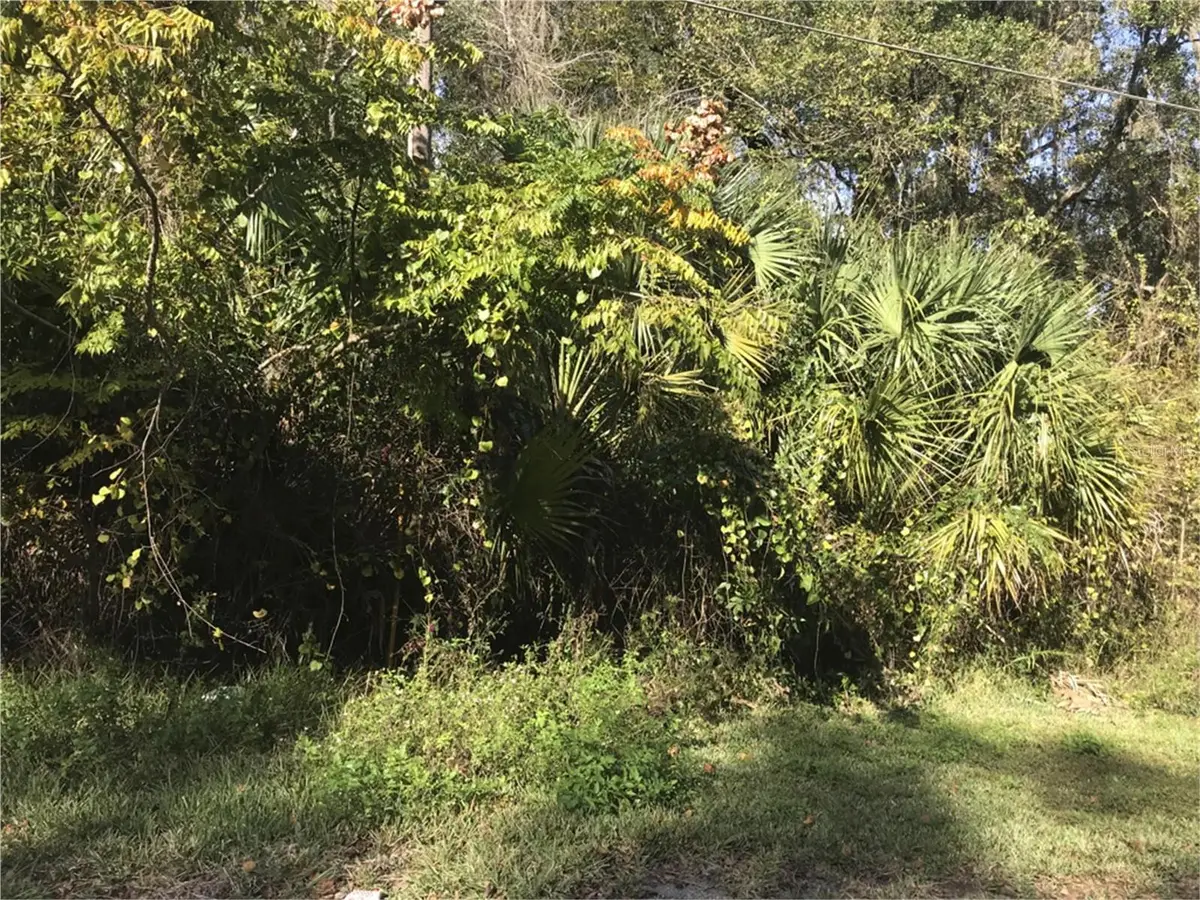 Lot 14, Lake Panasoffkee, FL 33538 - Image #1