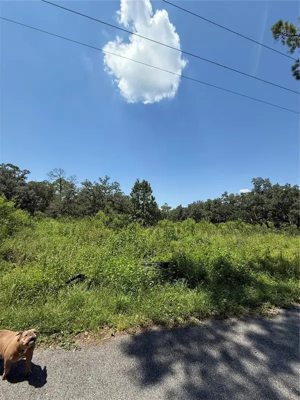 1356 Montzen Road, DAVENPORT, FL 33896