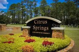 8545 N Wallingford Avenue, Citrus Springs, FL 34434 - Image #3