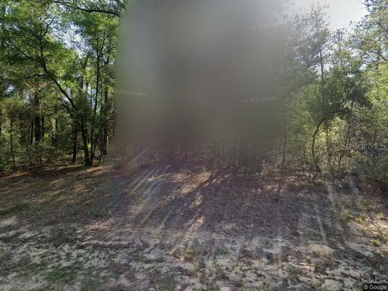 491 E Nemo Drive, Citrus Springs, FL 34434 - Image #2