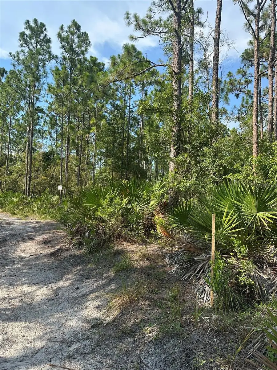 Rio St, Palatka, FL 32177 - Image #2